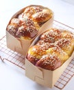 Two boxs of soft pillow bread with sesame sprinkles Royalty Free Stock Photo