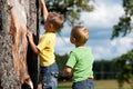 Two boys climbing on a tree Royalty Free Stock Photo