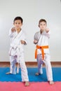 Two boys demonstrate martial arts working together Royalty Free Stock Photo