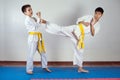 Two boys demonstrate martial arts working together Royalty Free Stock Photo