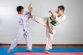 Two boys demonstrate martial arts working together Royalty Free Stock Photo