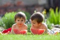 Two boys, eating watermelon in the garden Royalty Free Stock Photo