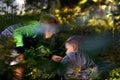 Two boys are gathering wild strawberries. Image with selective focus Royalty Free Stock Photo