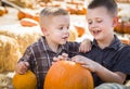 Two Boys Having Fun at the Pumpkin Patch on a Fall Day