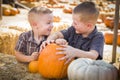 Two Boys Having Fun at the Pumpkin Patch on a Fall Day