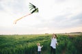 Two boys launching a kite on the wheat filed background. Brotherhood conception Royalty Free Stock Photo