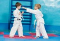 Two boys make karate exercises