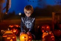Two boys in the park with Halloween costumes, carved pumpkins with candles and decoration Royalty Free Stock Photo
