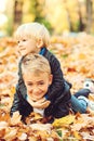 Two boys playing in autumn leaves. Happy and healthy childhood. Cute children having fun together in autumn park Royalty Free Stock Photo