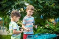 Two boys playing with a Beyblade, spinning top kid toy. Popular children game tournament.