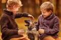 Two boys playing with a puppy Royalty Free Stock Photo