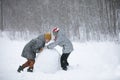 Two boys are playing in the snow Royalty Free Stock Photo