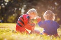 Two boys playing together Royalty Free Stock Photo