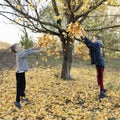 Two boys are playing with yellow autumn leaves under a tree in the garden Royalty Free Stock Photo