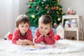 Two boys, reading a book in front of Christmas tree Royalty Free Stock Photo