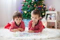 Two boys, reading a book in front of Christmas tree Royalty Free Stock Photo