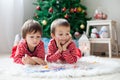 Two boys, reading a book in front of Christmas tree Royalty Free Stock Photo