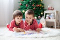 Two boys, reading a book in front of Christmas tree Royalty Free Stock Photo