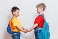 Two boys with school backpacks holding hands Royalty Free Stock Photo