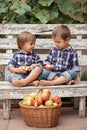 Two boys, sitting on a bench, eating apples and having fun Royalty Free Stock Photo
