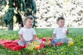 Two boys twins sitting on a red blanket with toys Royalty Free Stock Photo