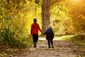 Two boys walking in the autumn park. Sunny day. Back view Royalty Free Stock Photo