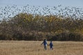 Two boys walking on a field full of blackbirds Royalty Free Stock Photo