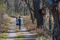 Two Boys Walking on a Path in Woods