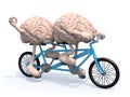 Two brains riding tandem bicycle