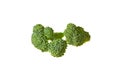 Two branches of fresh green broccoli isolated on white background without shadow Royalty Free Stock Photo