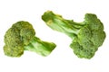 Two branches of fresh green broccoli isolated on white background without shadow Royalty Free Stock Photo