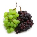 Two branches of grape