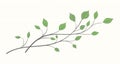 Two branches with green leaves of different shapes on a notebook sheet Royalty Free Stock Photo