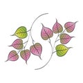 Two branches of Peepal Leaves Royalty Free Stock Photo
