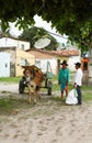 Two brazilians with mule cart in Canavieiras, Bahia, Brazil, South Amerika Royalty Free Stock Photo