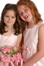 Two bridal sisters close Royalty Free Stock Photo