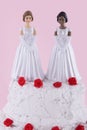 Two brides