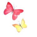 Two bright beautiful cute sophisticated magnificent wonderful tender gentle spring yellow and red butterflies watercolor