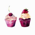 Two bright beautiful tender delicious tasty chocolate yummy summer dessert cupcakes with cream red cherry and strawberry