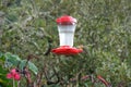 Two bright hummingbirds sitting on the opposite sides of a feeder