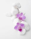 Two bright purple Phalaenopsis Orchids with stones Royalty Free Stock Photo