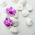 Purple Phalaenopsis Orchids with white stones Royalty Free Stock Photo