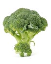 Two broccoli florets Royalty Free Stock Photo