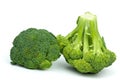 Two broccoli pieces Royalty Free Stock Photo