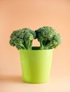 Two broccoli pieces in a flowerpot Royalty Free Stock Photo