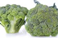 Two broccoli on a white background close Royalty Free Stock Photo