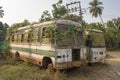 Two broken abandoned dirty white Indian buses overgrown with green ivy plants on the background of