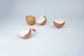 Two Broken brown egg shells on white background