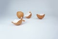 Two Broken brown egg shells on white background