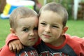 Two brothers - best friends Royalty Free Stock Photo